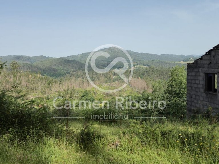 Ruina para restauro em Rossas - Vieira do Minho com terreno 3