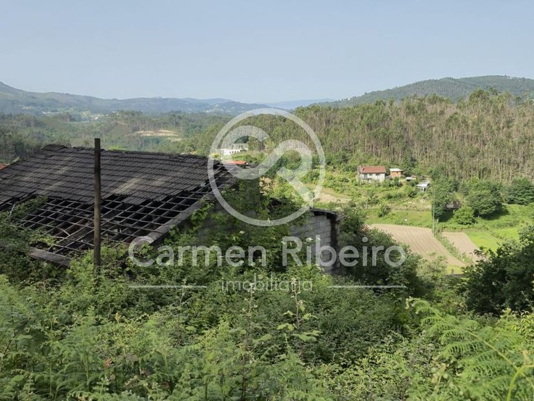 Ruina para restauro em Rossas - Vieira do Minho com terreno 5