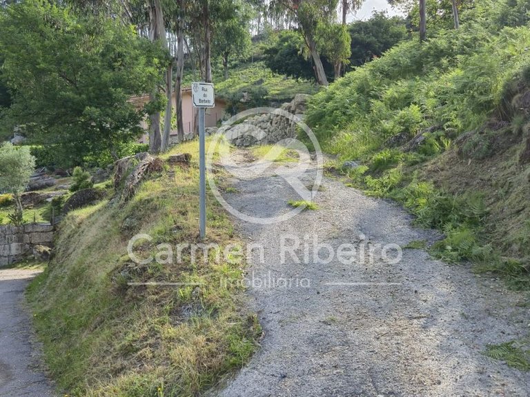 Ruina para restauro em Rossas - Vieira do Minho com terreno 10