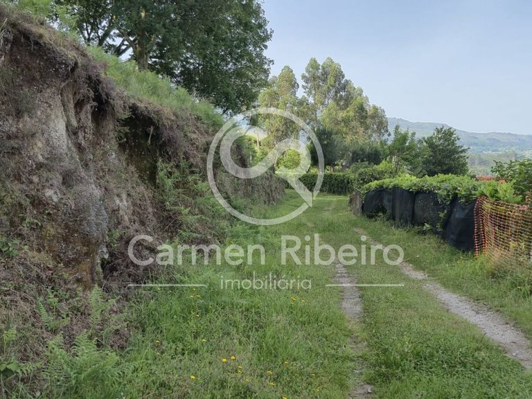 Ruina para restauro em Rossas - Vieira do Minho com terreno 12