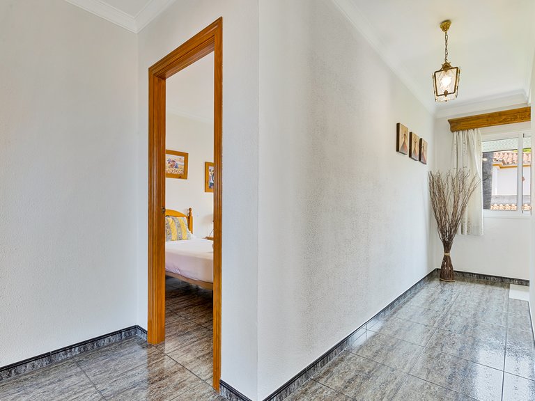 Detached villa in San Pedro 11