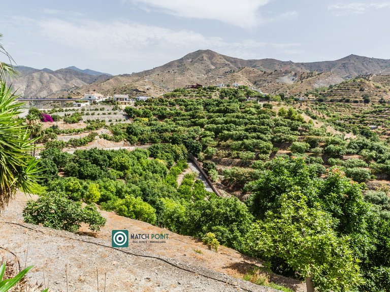 BEAUTIFUL HOUSE WITH VIEWS IN A TROPICAL FRUIT PLANTATION 89