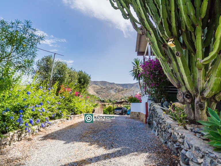 BEAUTIFUL HOUSE WITH VIEWS IN A TROPICAL FRUIT PLANTATION 91