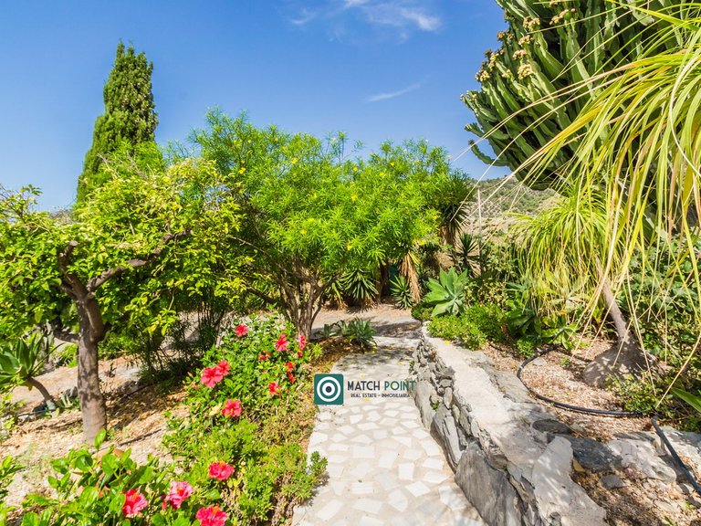 BEAUTIFUL HOUSE WITH VIEWS IN A TROPICAL FRUIT PLANTATION 36