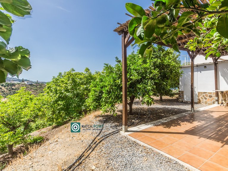BEAUTIFUL HOUSE WITH VIEWS IN A TROPICAL FRUIT PLANTATION 82