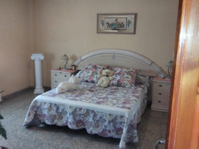 Casa de Pueblo ubicada en Casinos 5