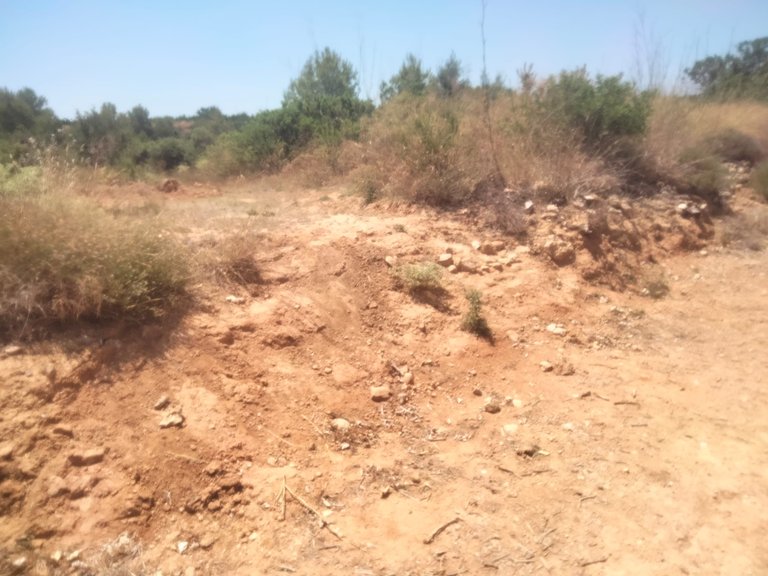 Parcela rústica en Venta 1