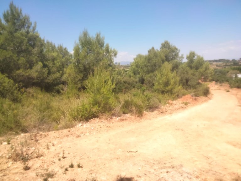 Parcela rústica en Venta 2