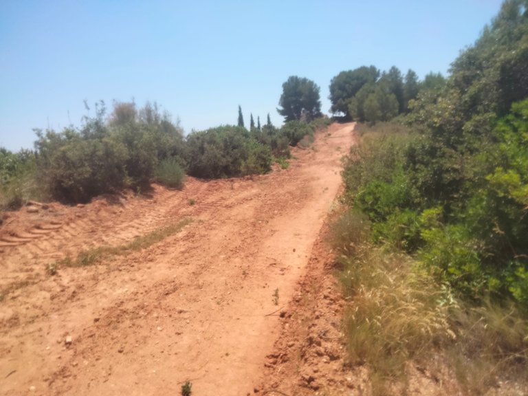 Parcela rústica en Venta 4