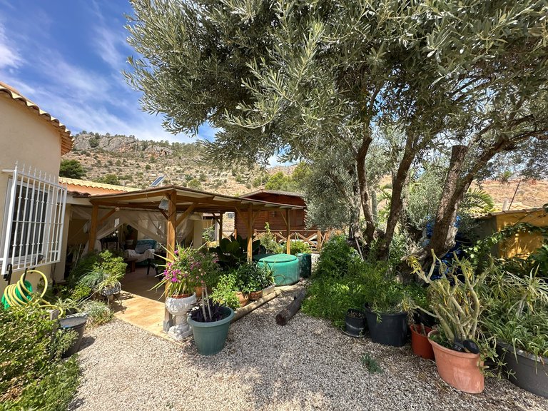 Orxeta, Costa Blanca: An Extraordinary Country Estate 4