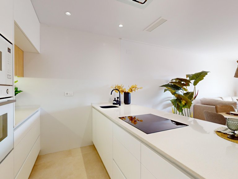 Apartment for Sale in Vista Azul XXXVIII - Lo Monte  - Pilar de la Horadada,Alicante 8