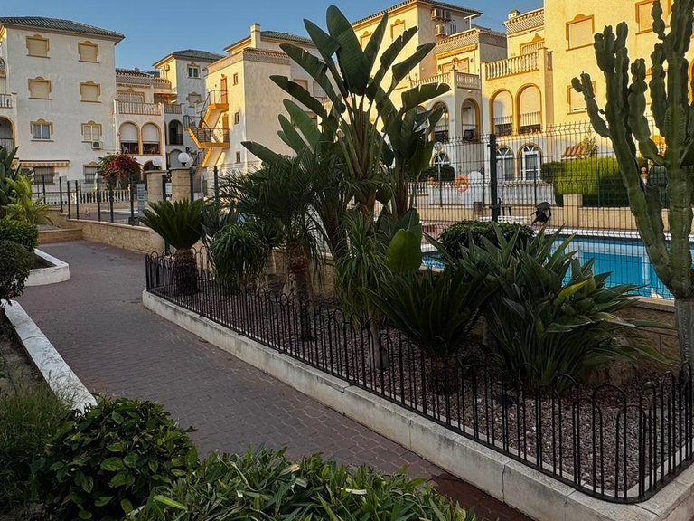 Apartment for Sale in Molino Blanco - La Mata,Alicante 13