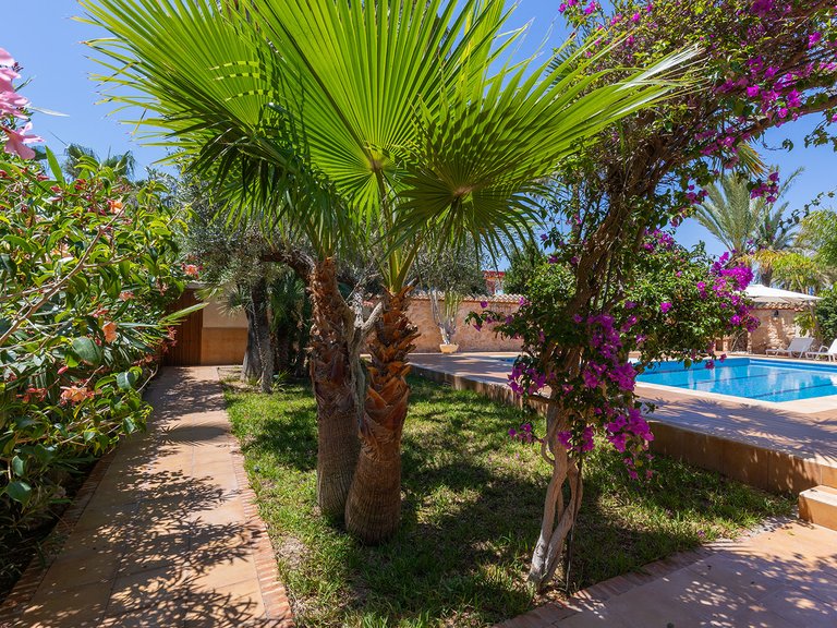 Villa for Sale in Punta Prima,Alicante 34