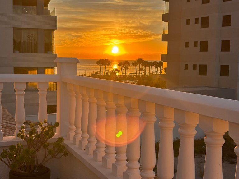 Villa for Sale in Punta Prima,Alicante 19