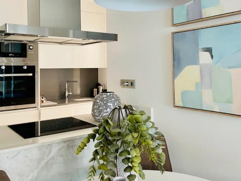 Apartment for Sale in Torrevieja,Alicante 6
