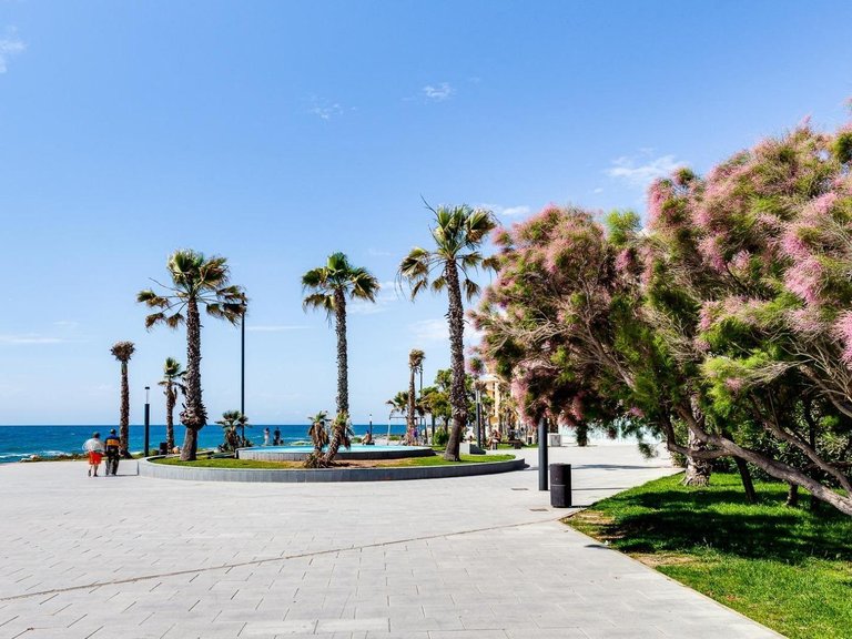 Apartment for Sale in Torrevieja,Alicante 9