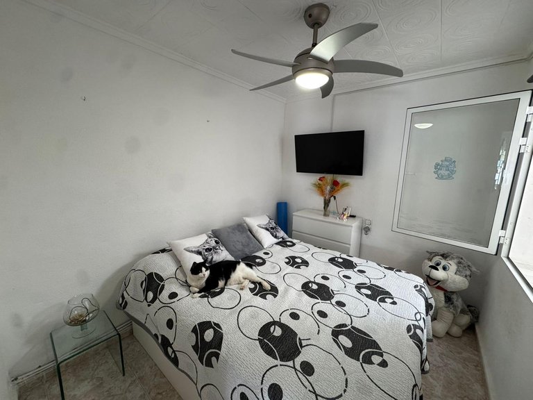 Apartment for Sale in Torreta - Torrevieja,Alicante 7
