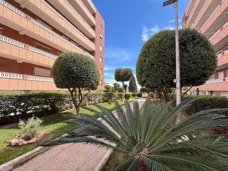 Apartment for Sale in Punta Prima,Alicante 42