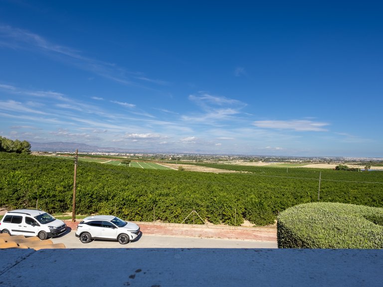 Villa for Sale in Algorfa,Alicante 42