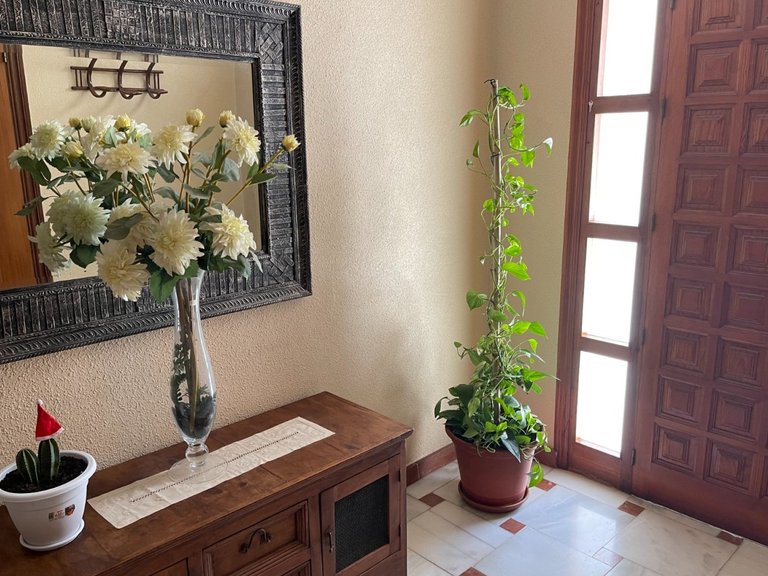 Apartment for Sale in San Miguel de Salinas,Alicante 2