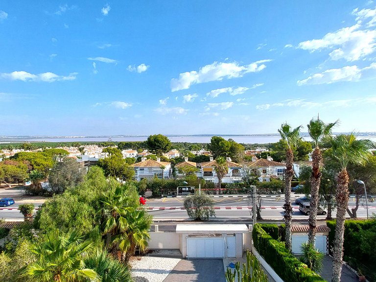 Villa for Sale in Los Balcones,Alicante 45
