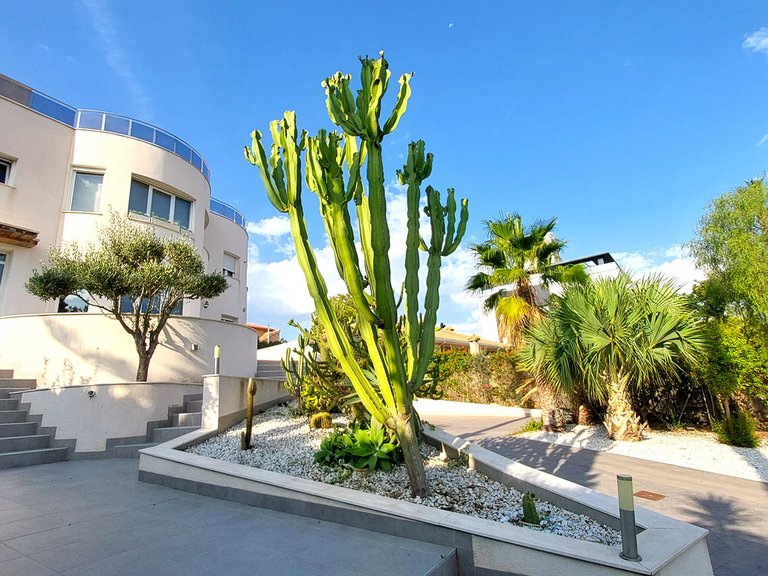 Villa for Sale in Los Balcones,Alicante 2