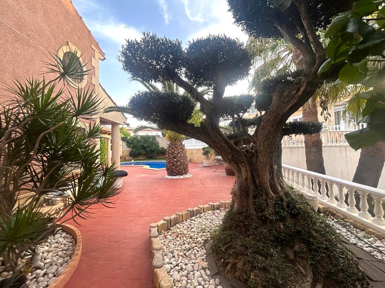Villa for Sale in Los Balcones,Alicante 6