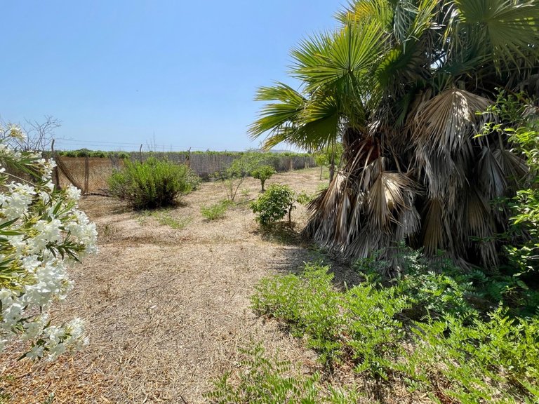 Villa for Sale in Daya Nueva,Alicante 18