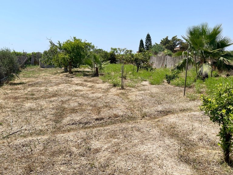 Villa for Sale in Daya Nueva,Alicante 19