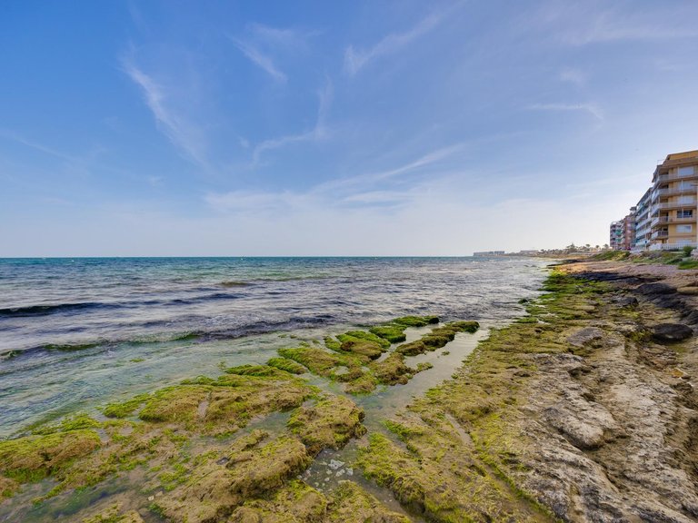 Apartment for Sale in Playa de los Naúfragos,Alicante 22