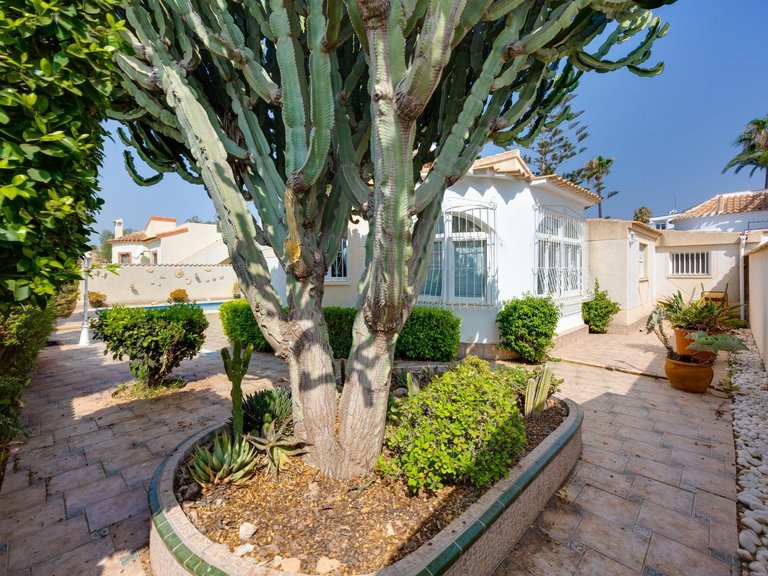 Villa for Sale in La Florida,Alicante 5