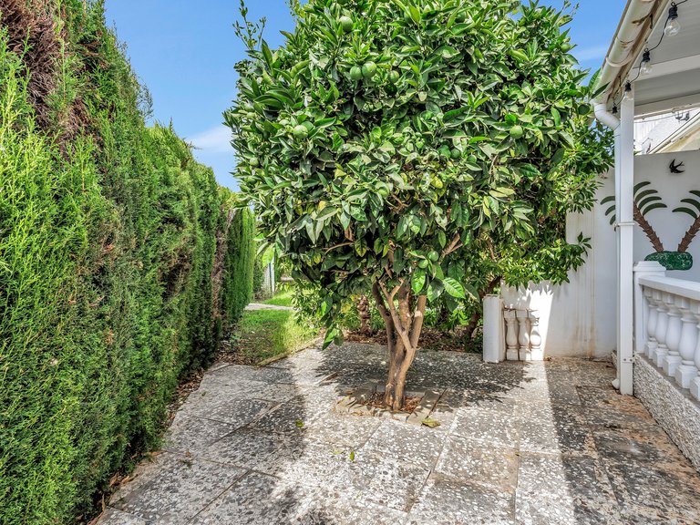 Apartment for Sale in Playa Flamenca,Alicante 28