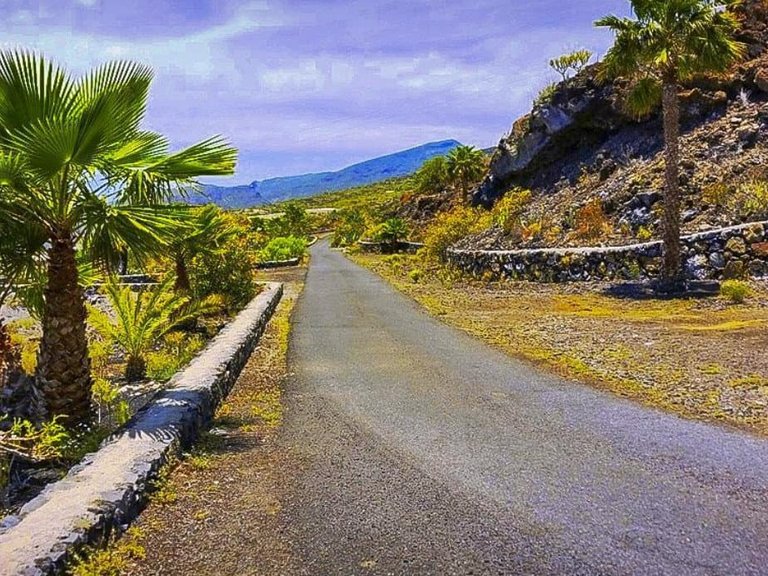 Villa for sale in Guia de Isora, Tenerife 1409127 16