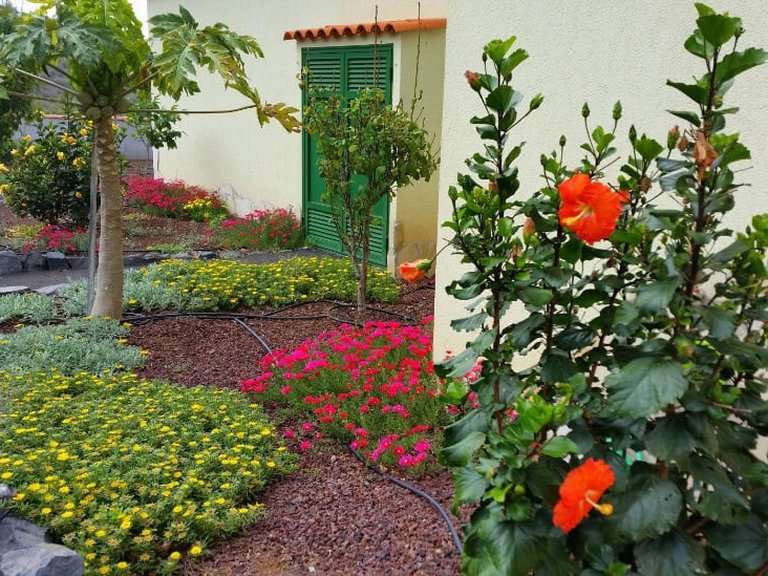 Villa for sale in Guia de Isora, Tenerife 1409127 15