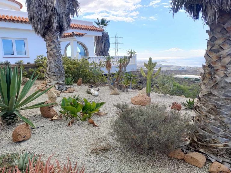 Villa for sale in Adeje, Tenerife 1408945 4