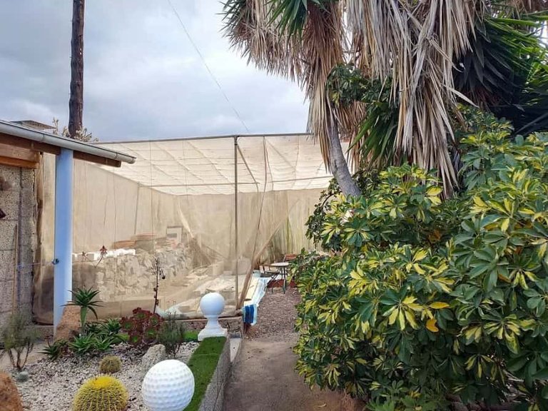 Villa for sale in Adeje, Tenerife 1408945 16