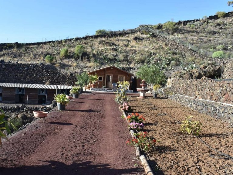 Country House for sale in Guia de Isora, Tenerife 1505229 9