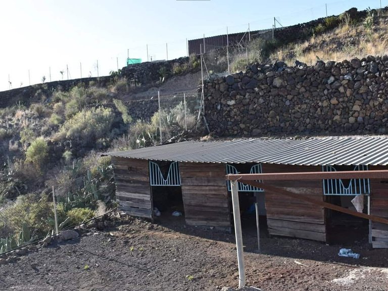 Country House for sale in Guia de Isora, Tenerife 1505229 10