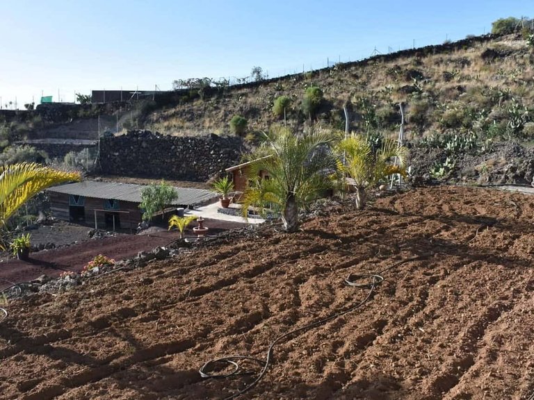 Country House for sale in Guia de Isora, Tenerife 1505229 16