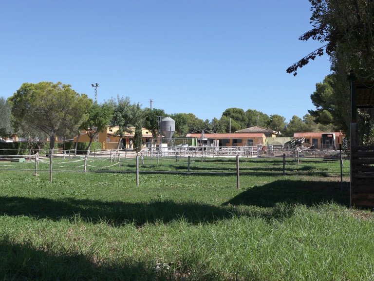 Finca Ecuestre 10
