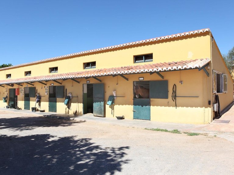 Finca Ecuestre 9