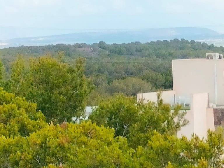 Villa for Sale in Villamartin, Alicante 11