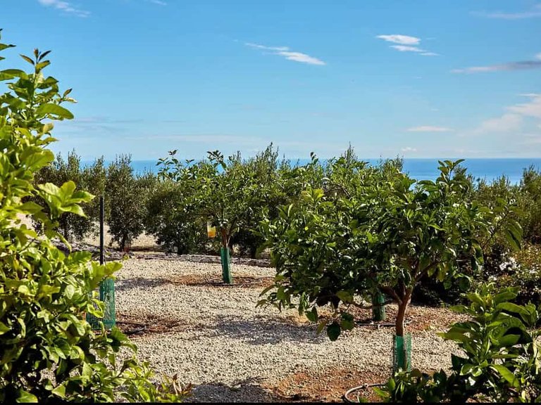 Villa for sale in Guia de Isora, Tenerife 1502140 8