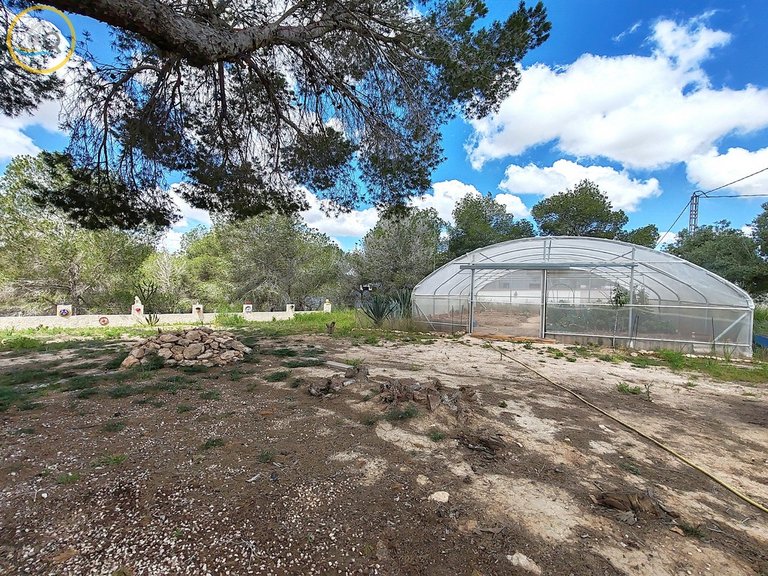 Country House for sale in Pilar de la Horadada, Alicante, Costa Blanca 25