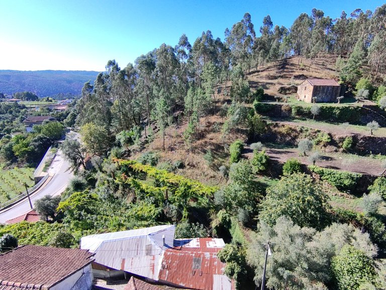 Country house for sale in Codeçoso, Braga, Portugal 16