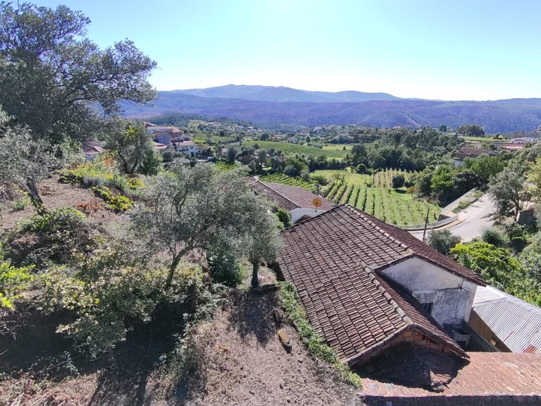 Country house for sale in Codeçoso, Braga, Portugal 19