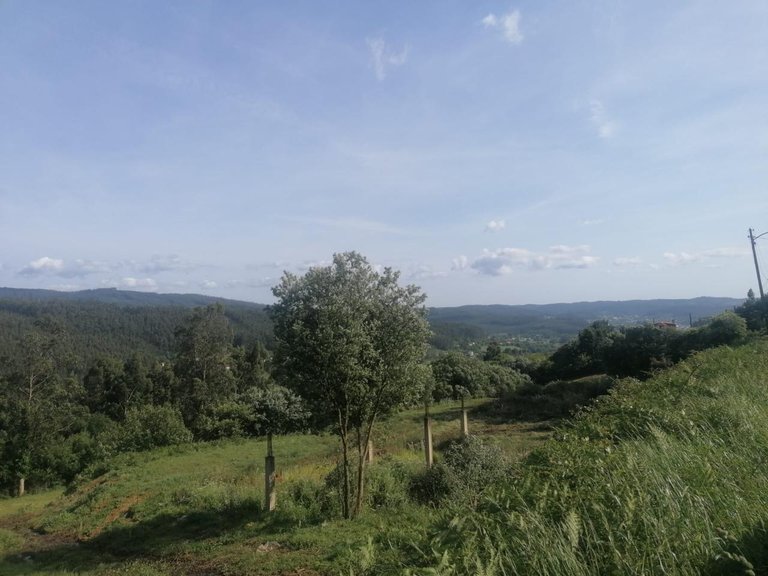 Villa for sale in Cedeira, La Coruña 3