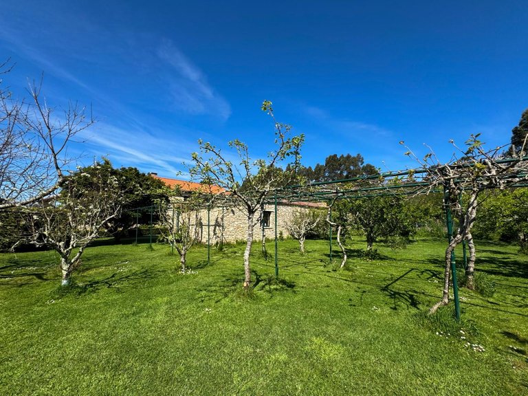 Villa for sale in Cabanas, La Coruña 5