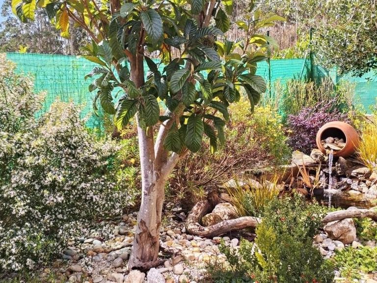 Country House for sale in San Sadurniño, La Coruña 6