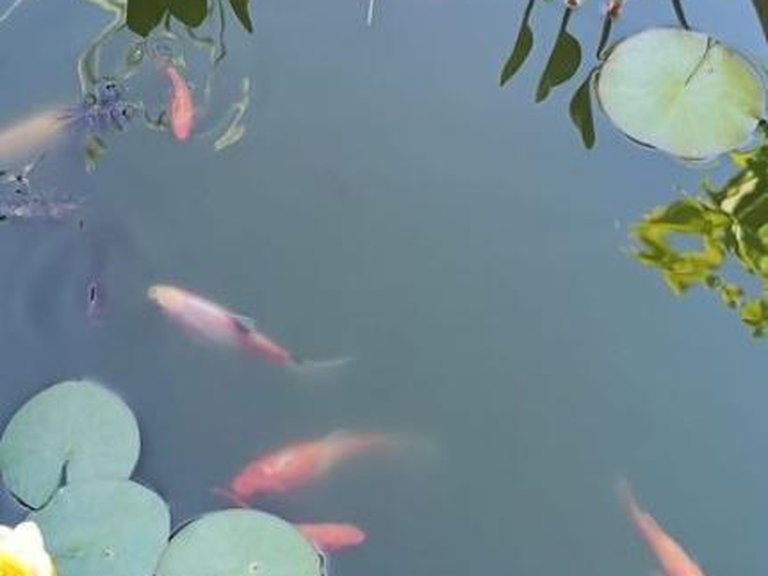 Country House for sale in San Sadurniño, La Coruña 5